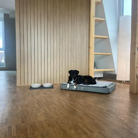 Apartament Zentrales Penthouse Mit Blick Auf Schwanenteich *